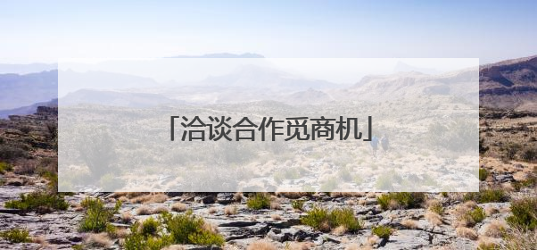 洽谈合作觅商机