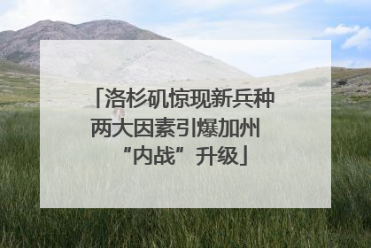 洛杉矶惊现新兵种 两大因素引爆加州“内战”升级