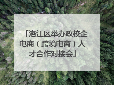 洛江区举办政校企电商（跨境电商）人才合作对接会