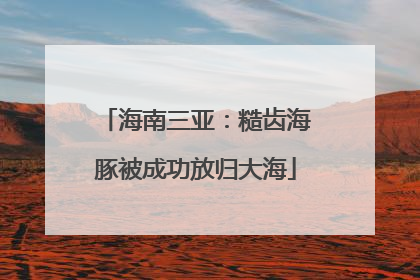海南三亚：糙齿海豚被成功放归大海
