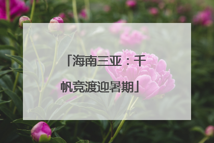 海南三亚：千帆竞渡迎暑期