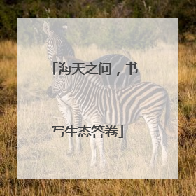 海天之间，书写生态答卷