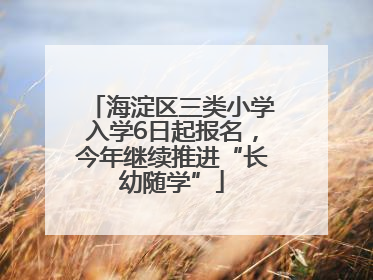 海淀区三类小学入学6日起报名，今年继续推进“长幼随学”