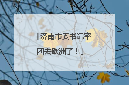 济南市委书记率团去欧洲了！