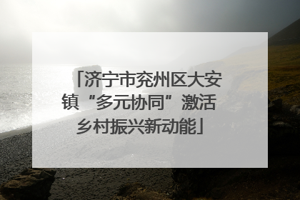 济宁市兖州区大安镇“多元协同”激活乡村振兴新动能