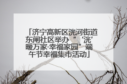 济宁高新区洸河街道东闸社区举办“‘洸’暖万家·幸福家园”端午节幸福集市活动