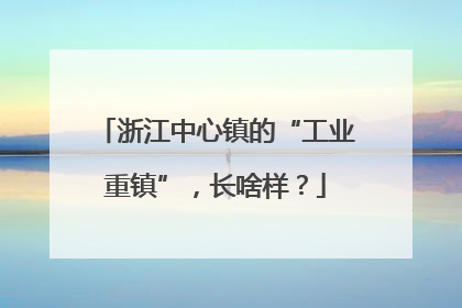 浙江中心镇的“工业重镇”，长啥样？