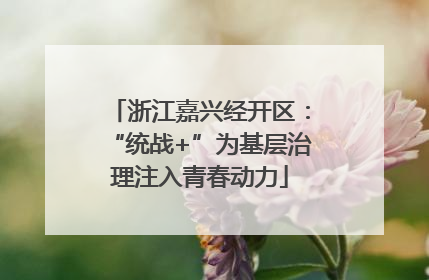 浙江嘉兴经开区：“统战+”为基层治理注入青春动力