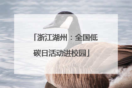 浙江湖州：全国低碳日活动进校园