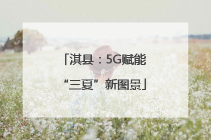 淇县：5G赋能“三夏”新图景
