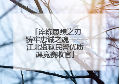 淬炼思想之刃 铸牢忠诚之魂——江北监狱民警优质课竞赛收官