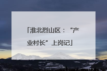 淮北烈山区：“产业村长”上岗记