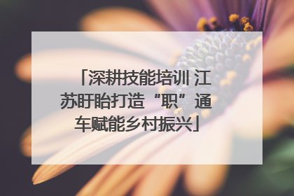 深耕技能培训 江苏盱眙打造“职”通车赋能乡村振兴