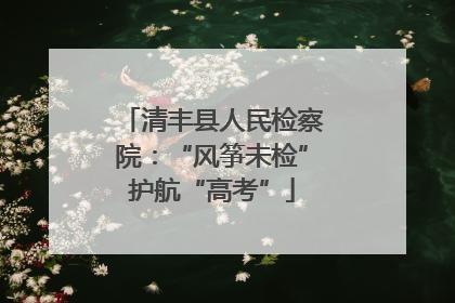 清丰县人民检察院：“风筝未检”护航“高考”