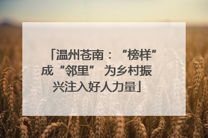 温州苍南：“榜样”成“邻里” 为乡村振兴注入好人力量