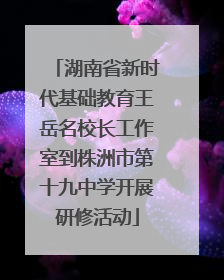 湖南省新时代基础教育王岳名校长工作室到株洲市第十九中学开展研修活动