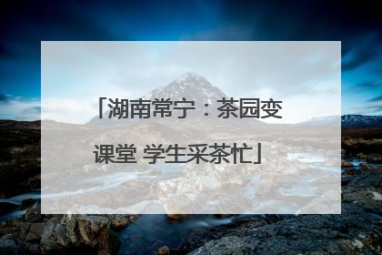 湖南常宁：茶园变课堂 学生采茶忙