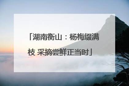 湖南衡山：杨梅缀满枝 采摘尝鲜正当时