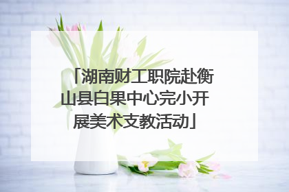 湖南财工职院赴衡山县白果中心完小开展美术支教活动
