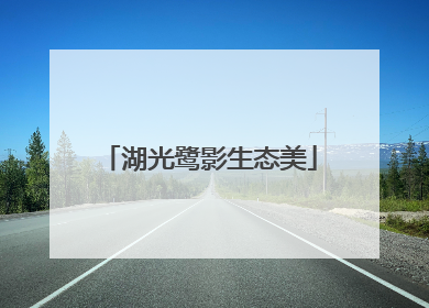 湖光鹭影生态美