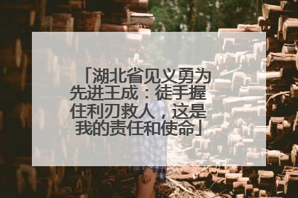 湖北省见义勇为先进王成：徒手握住利刃救人，这是我的责任和使命