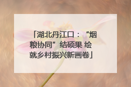 湖北丹江口：“烟粮协同”结硕果 绘就乡村振兴新画卷