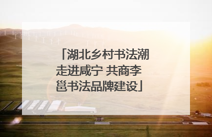 湖北乡村书法潮走进咸宁 共商李邕书法品牌建设