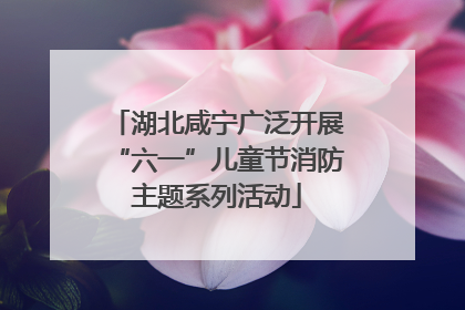 湖北咸宁广泛开展“六一”儿童节消防主题系列活动