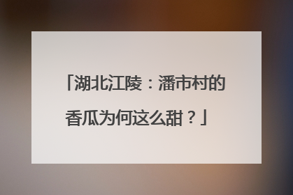 湖北江陵：潘市村的香瓜为何这么甜？