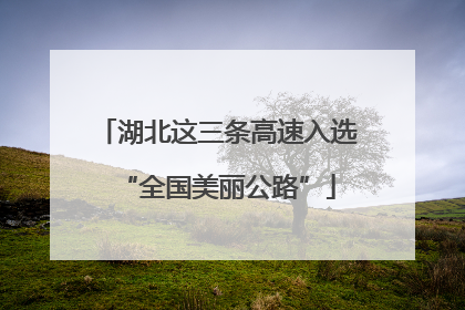湖北这三条高速入选“全国美丽公路”