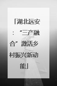 湖北远安：“三产融合”激活乡村振兴新动能