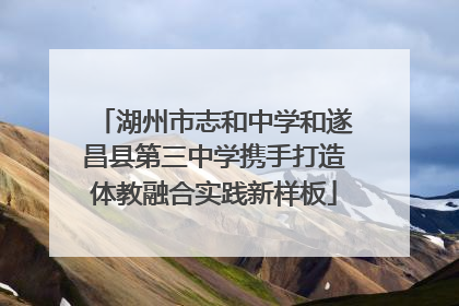 湖州市志和中学和遂昌县第三中学携手打造体教融合实践新样板
