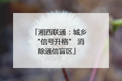 湘西联通：城乡“信号升格” 消除通信盲区