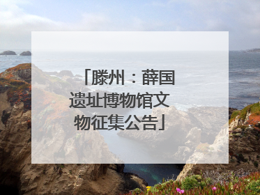滕州：薛国遗址博物馆文物征集公告