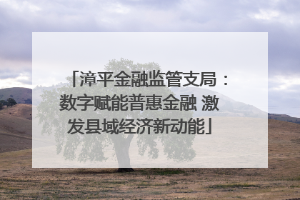 漳平金融监管支局：数字赋能普惠金融 激发县域经济新动能