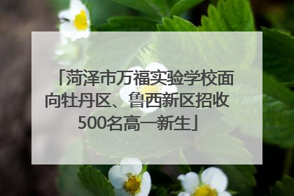 菏泽市万福实验学校面向牡丹区、鲁西新区招收500名高一新生