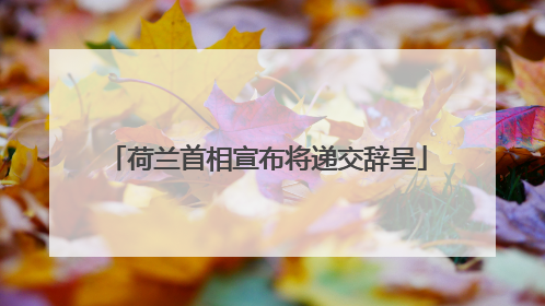 荷兰首相宣布将递交辞呈