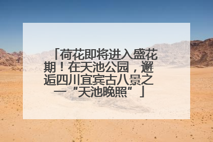 荷花即将进入盛花期！在天池公园，邂逅四川宜宾古八景之一“天池晚照”