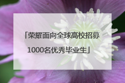 荣耀面向全球高校招募1000名优秀毕业生