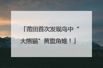莆田首次发现鸟中“大熊猫”黄腹角雉！