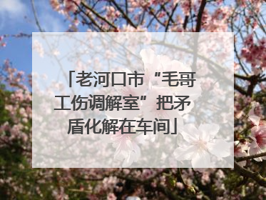 老河口市“毛哥工伤调解室”把矛盾化解在车间