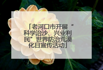 老河口市开展“科学治沙、兴业利民”世界防治荒漠化日宣传活动