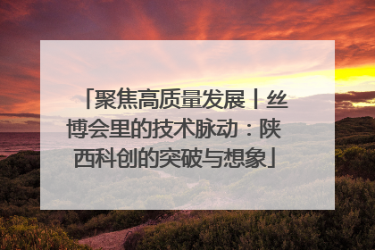 聚焦高质量发展丨丝博会里的技术脉动：陕西科创的突破与想象