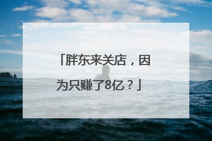 胖东来关店，因为只赚了8亿？
