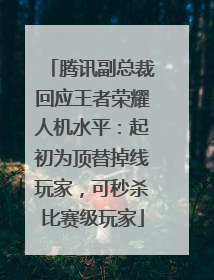 腾讯副总裁回应王者荣耀人机水平：起初为顶替掉线玩家，可秒杀比赛级玩家