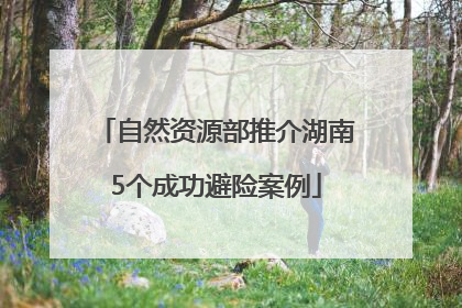 自然资源部推介湖南5个成功避险案例