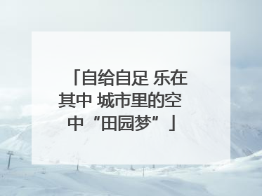 自给自足 乐在其中 城市里的空中“田园梦”