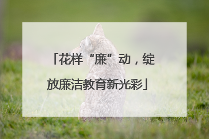 花样“廉”动，绽放廉洁教育新光彩