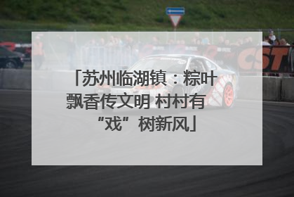 苏州临湖镇：粽叶飘香传文明 村村有“戏”树新风