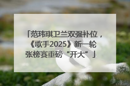 范玮琪卫兰双强补位，《歌手2025》新一轮张榜赛重磅“开大”